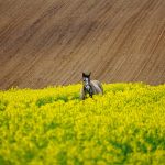 Psycholog: Rola, Asysta i Wsparcie w Trudnych Momentach